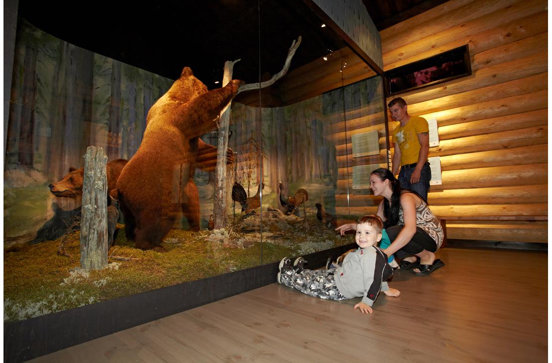 Lapsi ja vanhemmat tarkastelevat täytettyä karhua ja metsälintuja lasiseinän takana luontonäyttelyssä. Pieni poika makaa lattialla hymyillen vanhempiensa edessä hirsiseinäisessä tilassa.