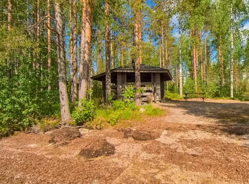 Kuva esittää Petäjäkankaan kotaa, joka on pieni, tumma, hirsinen avokota tai laavu metsän keskellä. Kodalla on harjakatto ja avoin sisäänkäynti. Se sijaitsee ruskealla, hakkeisella maapohjalla, jota ympäröi tiheä, aurinkoinen metsä, jossa on mäntyjä ja koivuja. Kodan edessä näkyy tummia kiviä tai maanalaisia kumpuja.
