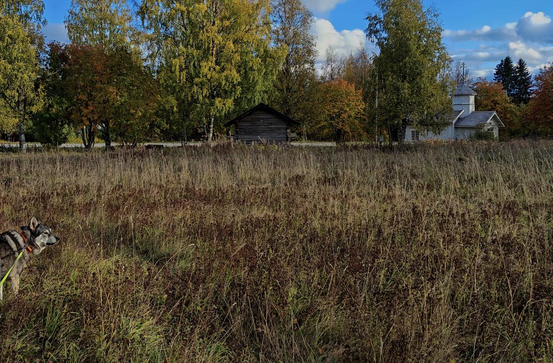 Kultainen, korjattu peltoaukea syksyisessä auringonpaisteessa. Taustalla näkyy värikkäitä lehtipuita, havumetsää ja pieniä puurakennuksia.