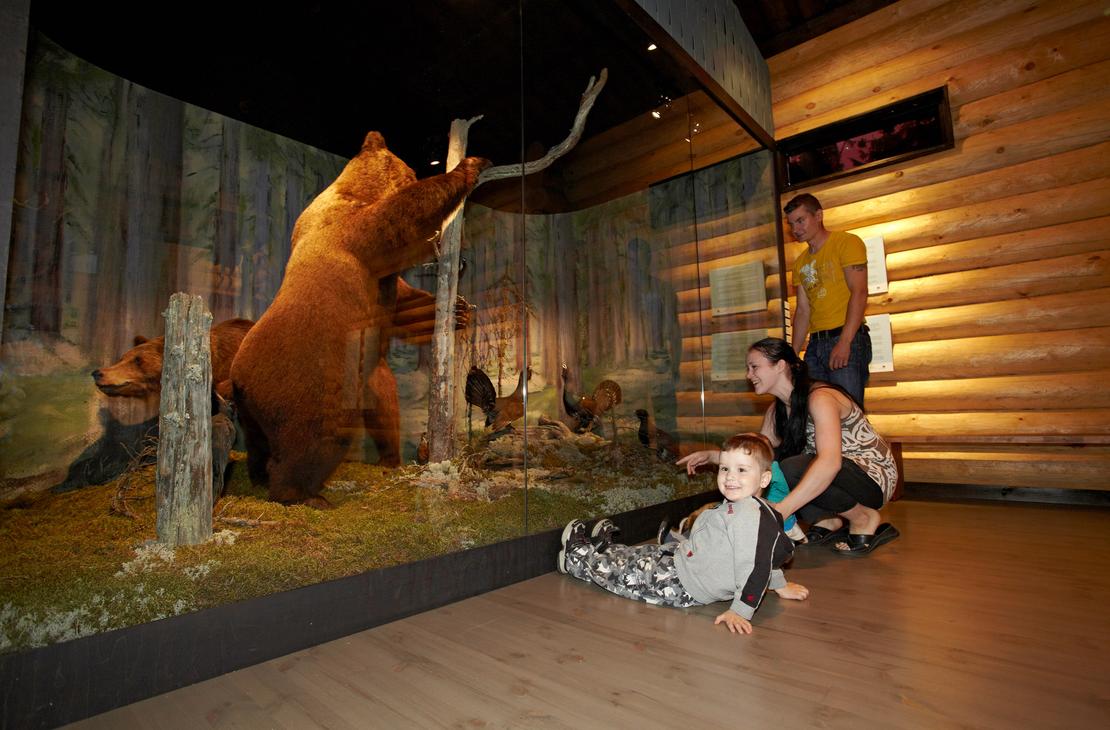 Lapsi ja vanhemmat tarkastelevat täytettyä karhua ja metsälintuja lasiseinän takana luontonäyttelyssä. Pieni poika makaa lattialla hymyillen vanhempiensa edessä hirsiseinäisessä tilassa.
