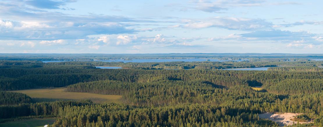 Laaja ilmapanoramakuva metsäisestä vaaramaisemasta. Tiheän havumetsän takana siintää useita sinisiä järviä ja taivaalla on keveitä pilviä.