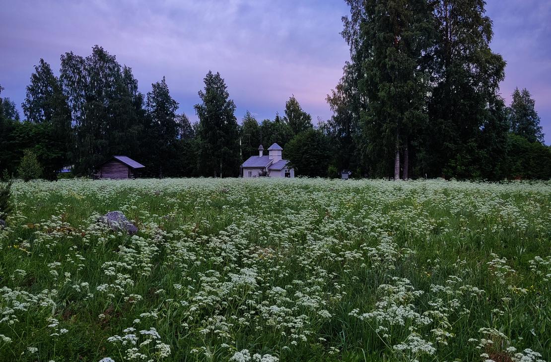 Laaja niitty täynnä valkoisia kukkia hämärtyvässä illassa. Taustalla näkyy tumma metsän siluetti ja pieni rakennus purppuraisen taivaan alla.