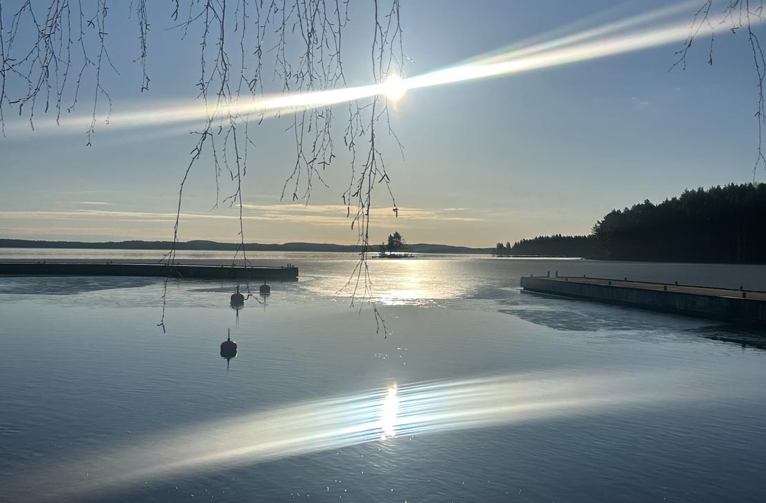 Maisemakuva tyynestä järvestä, jonka pinnasta aurinko heijastuu kirkkaana. Rannassa näkyy puun oksia ja veden pinnalla kelluvia poijuja.