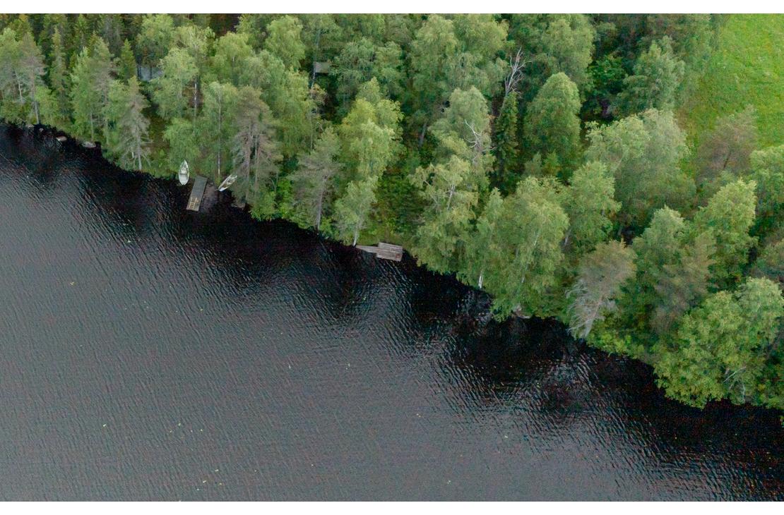 Ilmakuva tai korkealta otettu kuva, joka n&auml;ytt&auml;&auml; tumman j&auml;rvenrannan tai joen. Etualalla on tummaa vett&auml;, ja taaempana tihe&auml;, vihre&auml; mets&auml; reunustaa rantaa. Rantaviivan tuntumassa mets&auml;n suojassa n&auml;kyy pieni&auml;, puunv&auml;risi&auml; rakennelmia, mahdollisesti laitureita tai saunoja. Mets&auml;n takana ylh&auml;&auml;ll&auml; oikealla n&auml;kyy hieman aukeaa, vaaleanvihre&auml;&auml; aluetta.