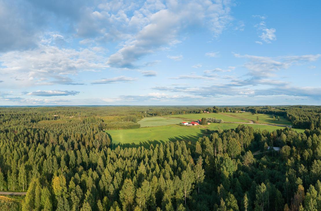 Laaja ilmakuva suomalaisesta maaseutumaisemasta. Etualalla on tiheää havumetsää ja kauempana aukenevat vihreät pellot sekä maalaistalo maatalousrakennuksineen.