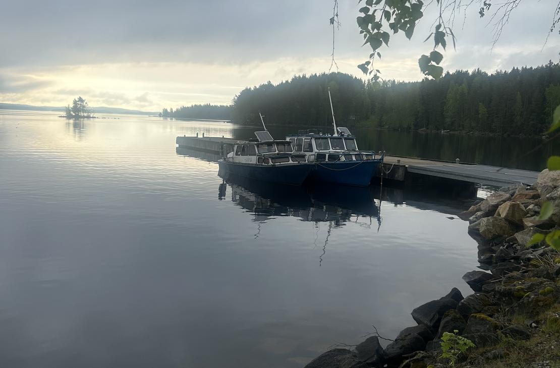 Iltapäivän valossa otettu kuva tyynestä rannasta, jossa sininen vene on kiinnitettynä laituriin puiden katveessa.